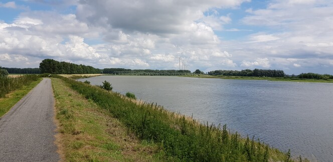 dijk bij Oosterse bekade gorzen bij Numansdorp