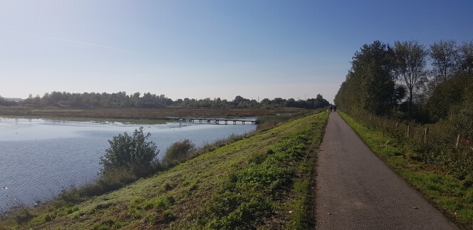 dijk bij Oosterse bekade gorzen bij Numansdorp