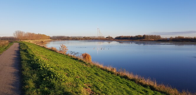 uitzicht op water bij Oosterse bekade gorzen bij Numansdorp