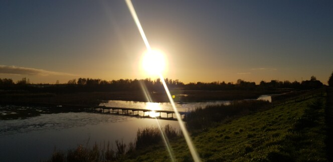 uitzicht op water bij Oosterse bekade gorzen bij Numansdorp